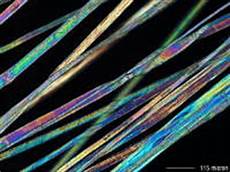 Polyamide garments