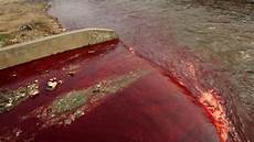 Textile Dyeing Service