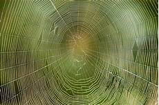 Thread